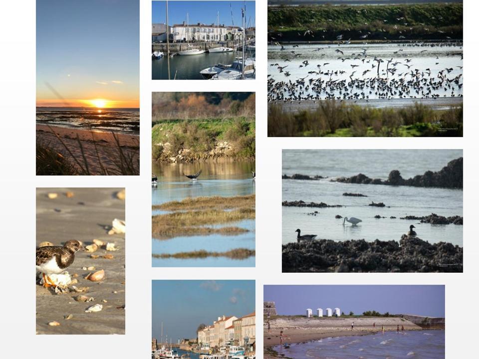La Danae Ile De Re, Velos, Wifi, Cuisine, Linge, Parking Gratuit Saint-Martin-de-Ré